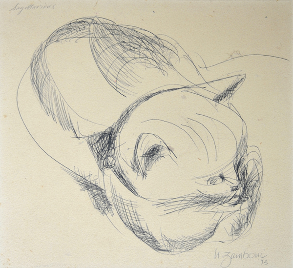 Sagittarius Paw-tucked